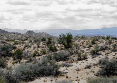 View of Land for sale in Aquarius Springs